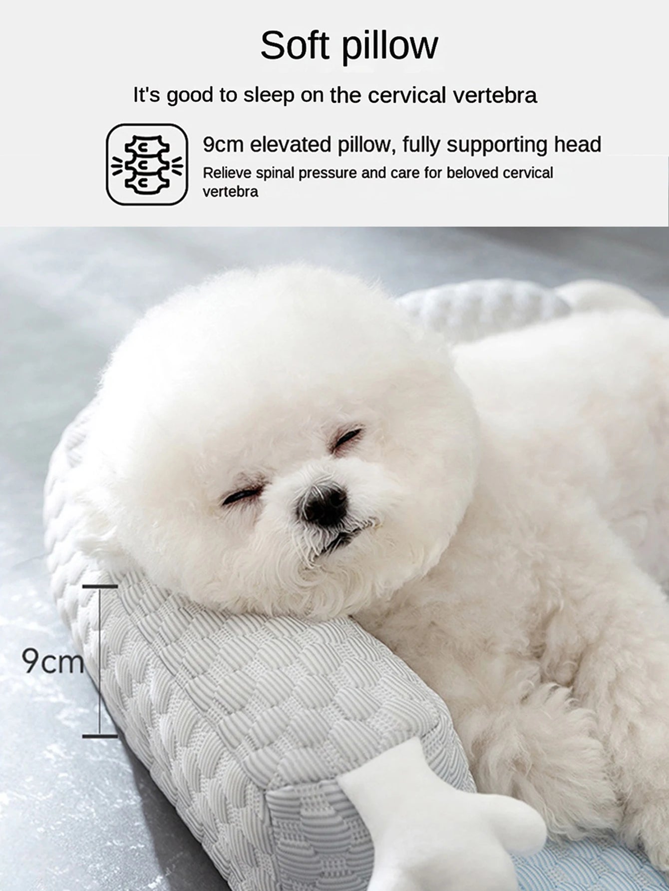 CoolBed: The cooling bed your pet deserves.