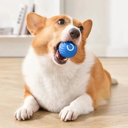 The CoolBall