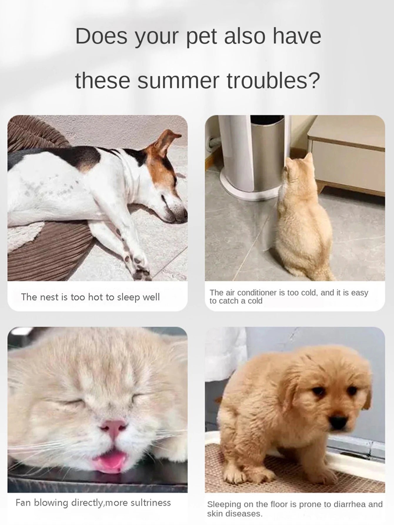 CoolBed: The cooling bed your pet deserves.